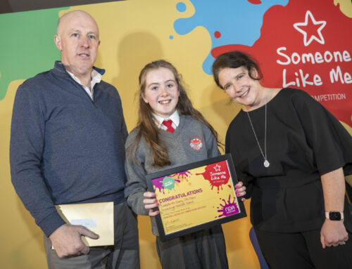 Isabella  from Dromclough N.S named Senior County Winner in National Art Finals